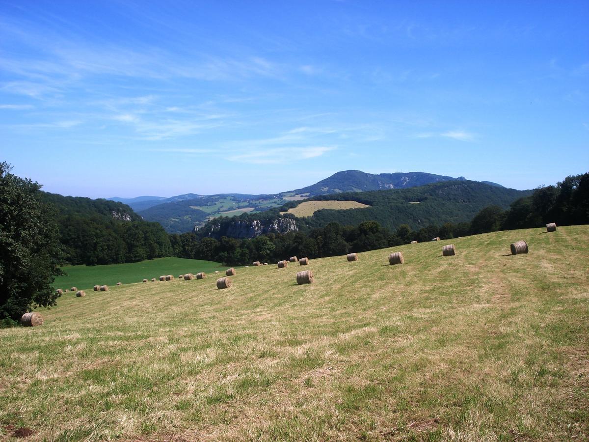Domaine Et Chambres D'Hotes Des Fees Pretin Экстерьер фото
