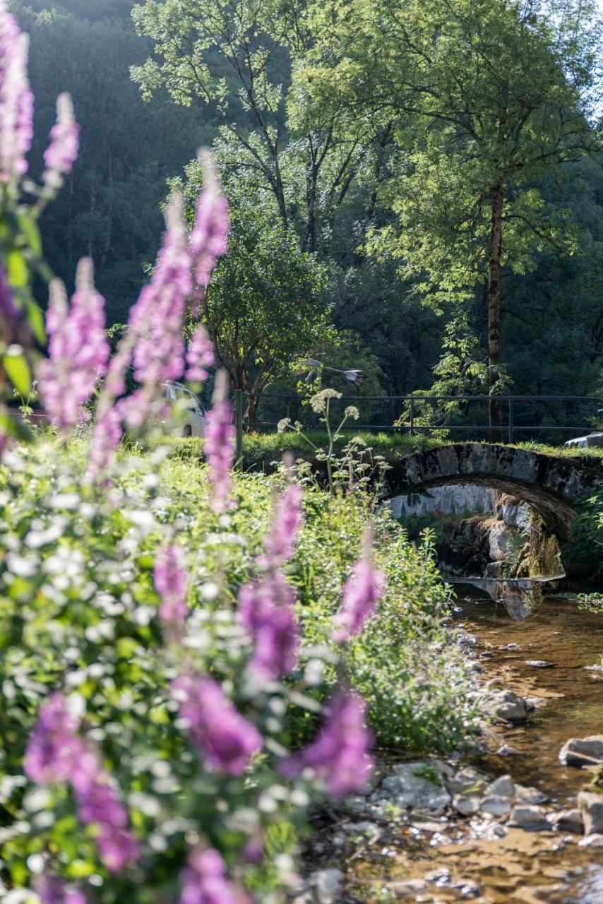 Domaine Et Chambres D'Hotes Des Fees Pretin Экстерьер фото
